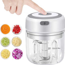 Moedor de Alimentos Praince