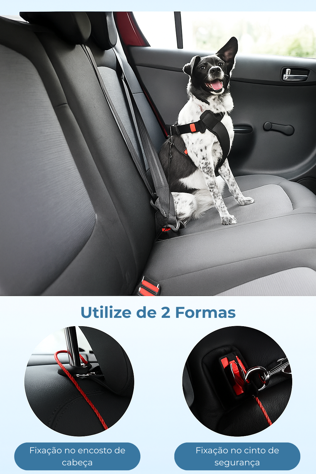 Praince Guard Pet + BRINDES + FRETE GRÁTIS – Segurança Real para o Seu Melhor Amigo!